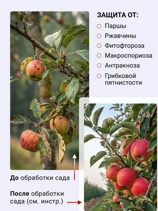 Бордоская жидкость, для защиты растений от болезней, 3шт, 3 шт, фото 4