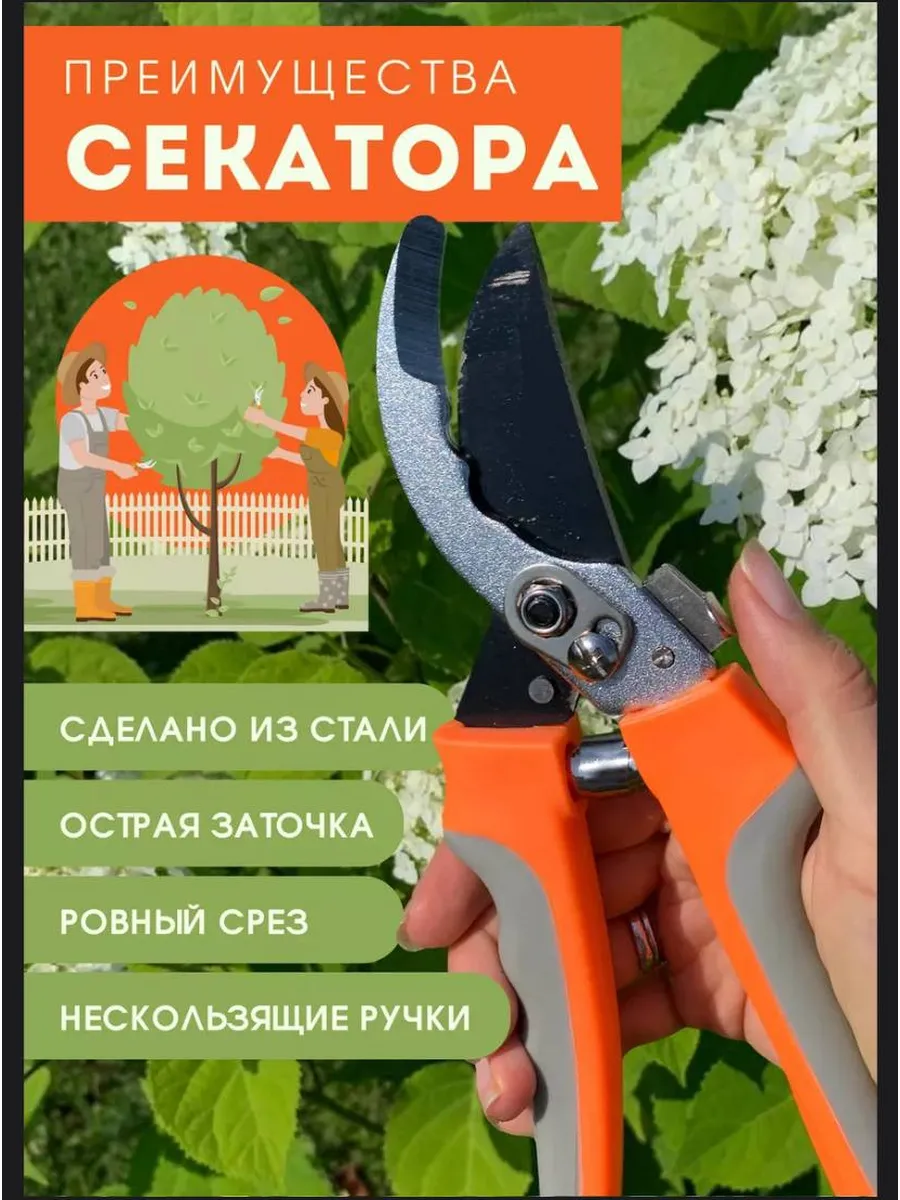 Секатор садовый для дома и дачи