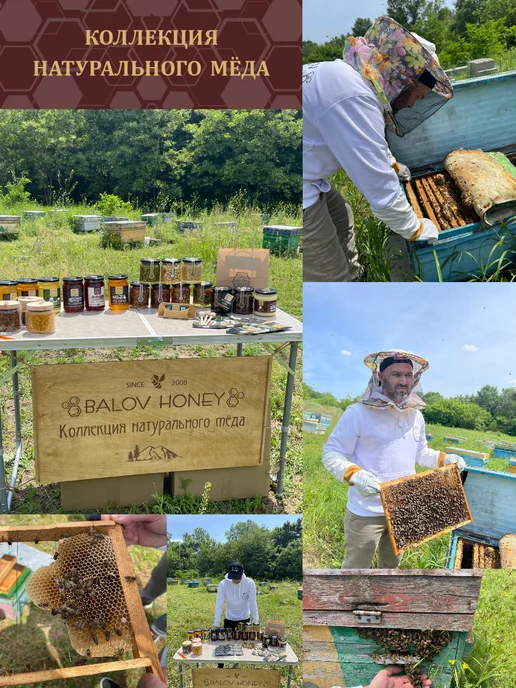 BALOV HONEY Мед крем горный и липовый, 350гр, 350 г, фото 7