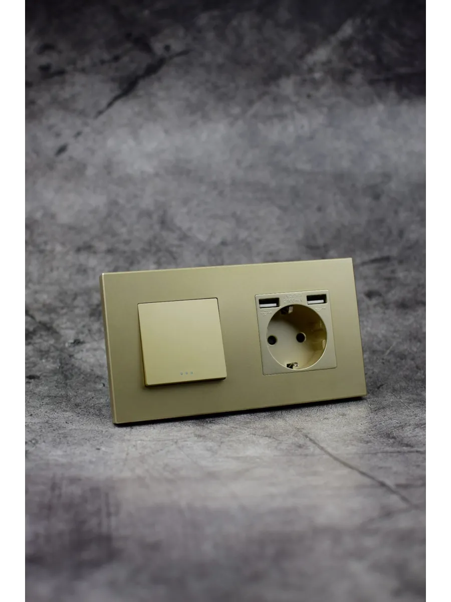 Одинарный золотой выключатель без подсветки с розеткой USB