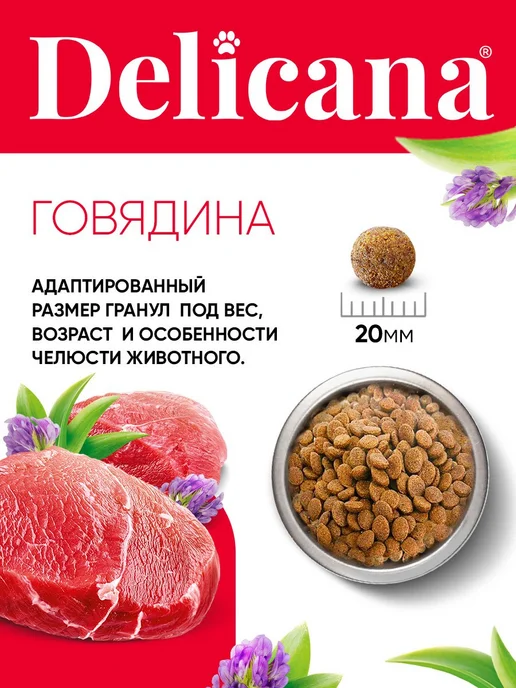 Сухой корм Delicana Мaxi для собак, взрослые, говядина, 15 кг, фото 7