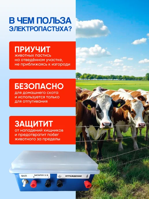 Kaas Электро пастух комплект для коров и овец №1, вариант, фото 6
