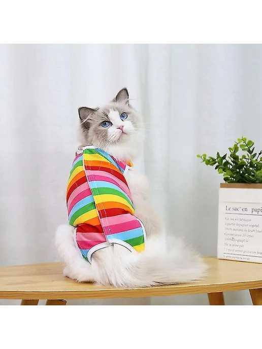Защитный костюм для кошек после операции РMЦRainbow, вариант