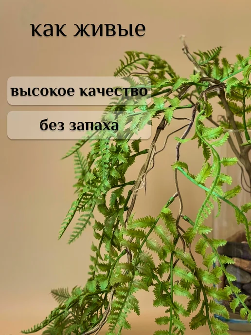 Plants Market Папоротник искусственный, зеленый, фото 4