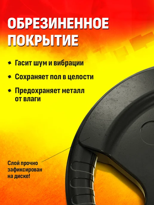 Profigym Блин для штанги и гантелей 10 кг - диск для грифа, 10 кг, фото 8