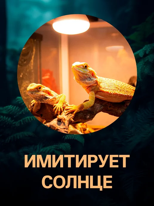 Lucky Herp Лампа для обогрева террариума 50Вт для рептилий Intense E27, 50 Вт, фото 5