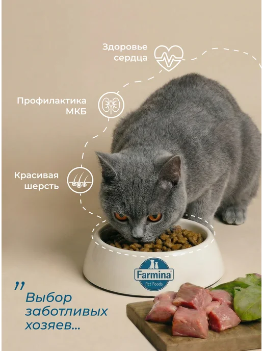 Сухой корм Farmina Кошек Тыква для собак, утка, 0,3 кг, фото 2