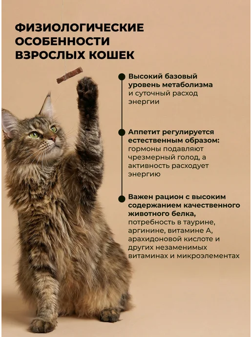 Сухой корм Farmina Кошек Тыква для собак, утка, 0,3 кг, фото 3