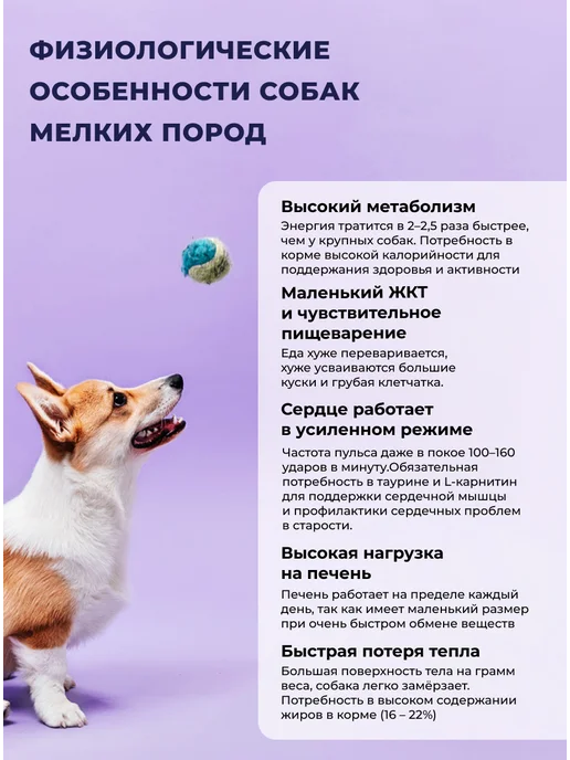 Сухой корм Farmina Прайм Кабаном для собак, взрослые, мелкие, 2,5 кг, фото 3