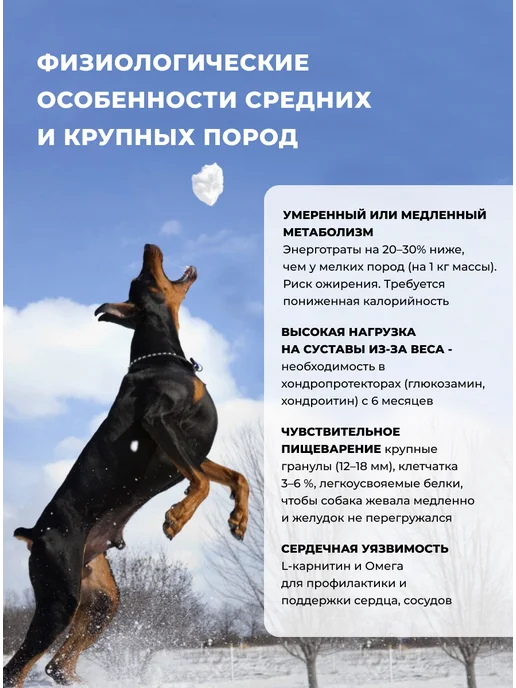 Сухой корм Farmina Перепел для собак, крупные, средние, 12 кг, фото 3