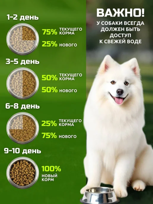 Сухой корм Bisko Оптима для собак, 12 кг, фото 5