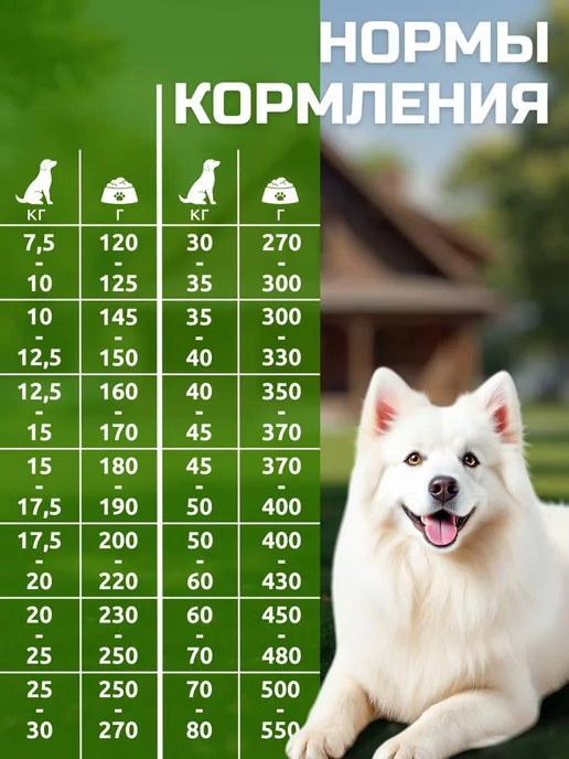 Сухой корм Bisko Оптима для собак, 12 кг, фото 6