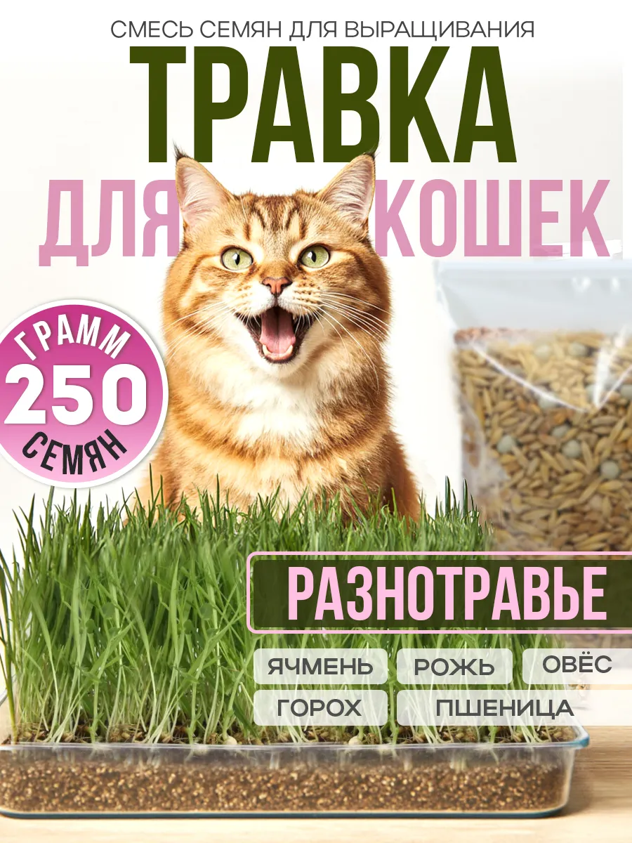 Семена травы для кошек для проращивания