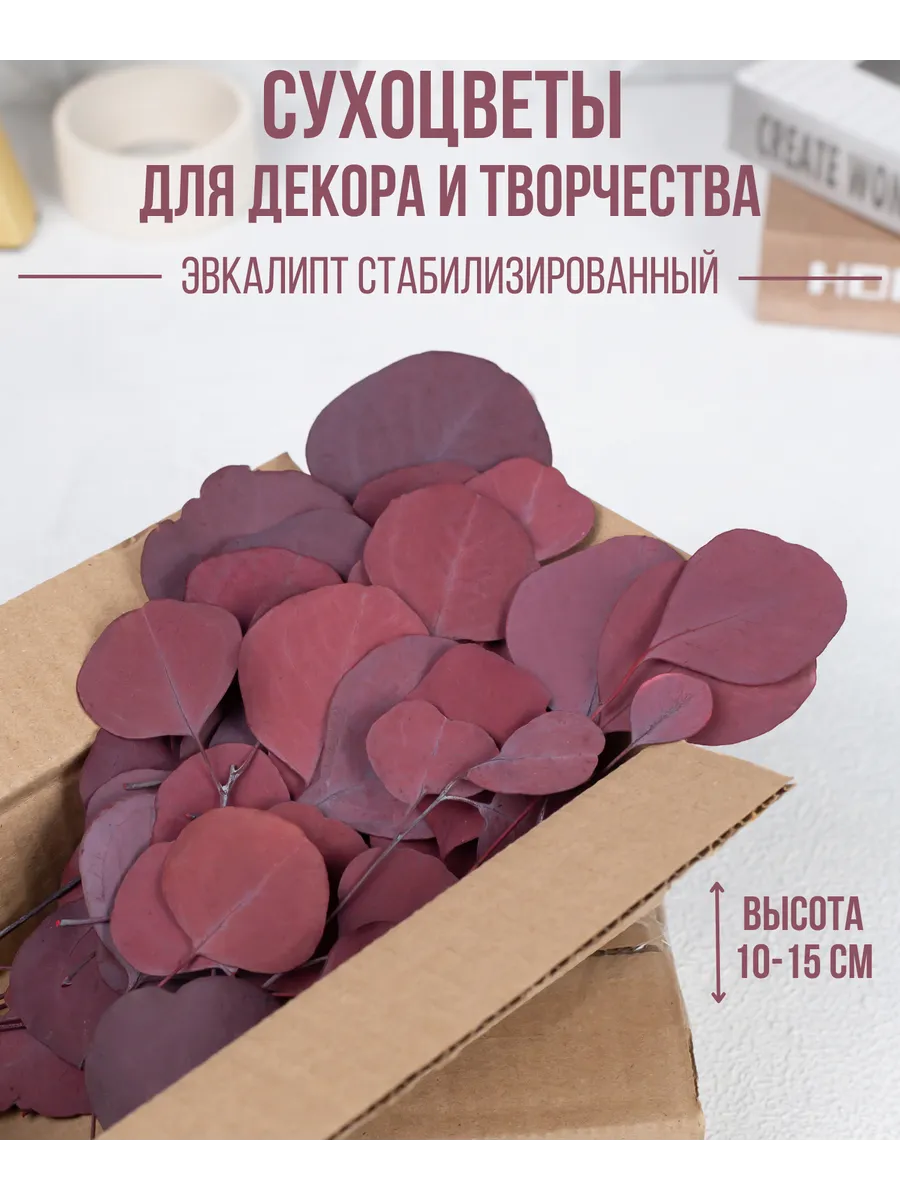 Сухоцветы для декора и творчества