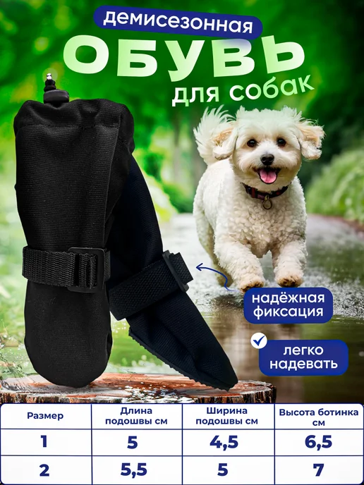 JollyPet Демисезонная обувь для собак, черный