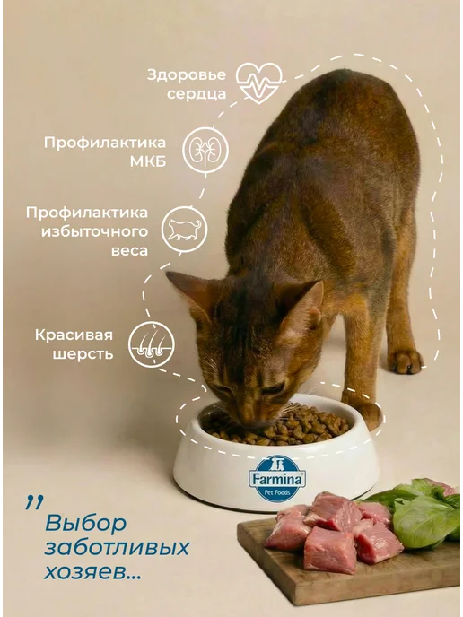 Сухой корм Farmina Кошек для собак, стерилизованные, курица, 5 кг, фото 2