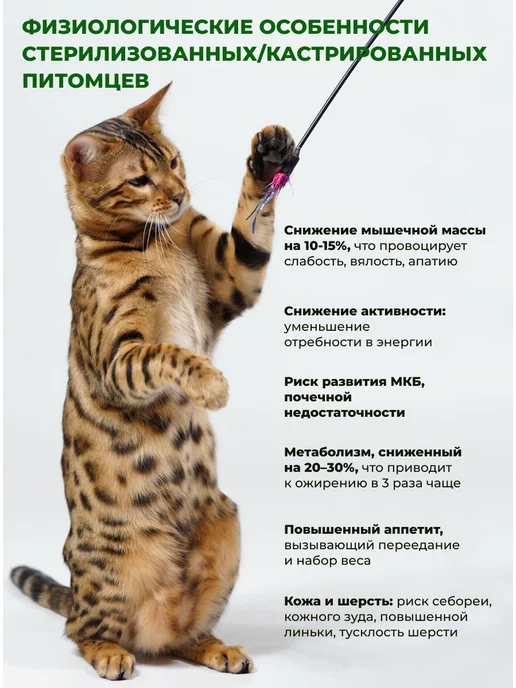 Сухой корм Farmina Кастрированных Кошек для собак, стерилизованные, курица, 10 кг, фото 3