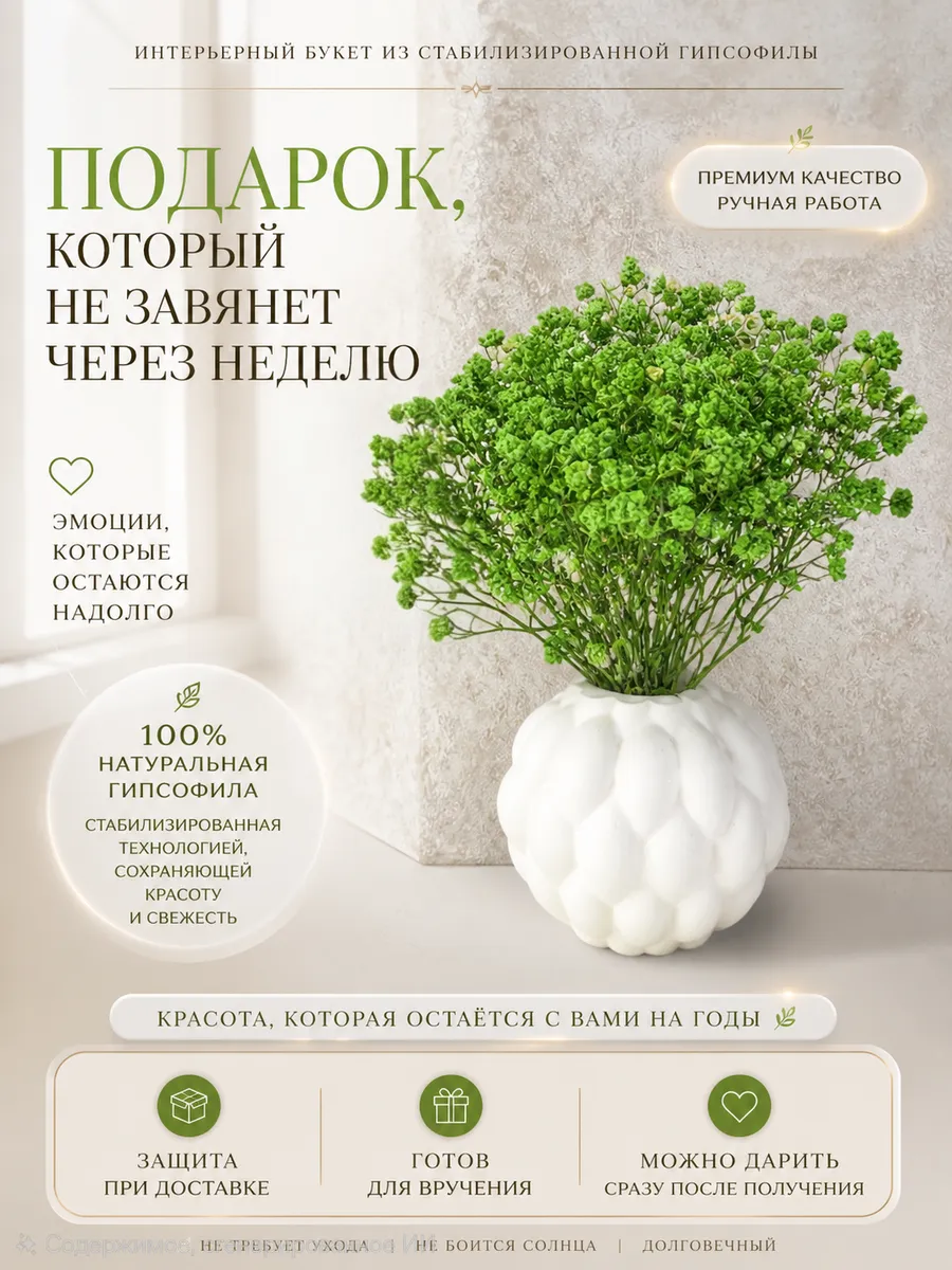 Гипсофила сухоцветы.Подарок.Для декора.В вазу