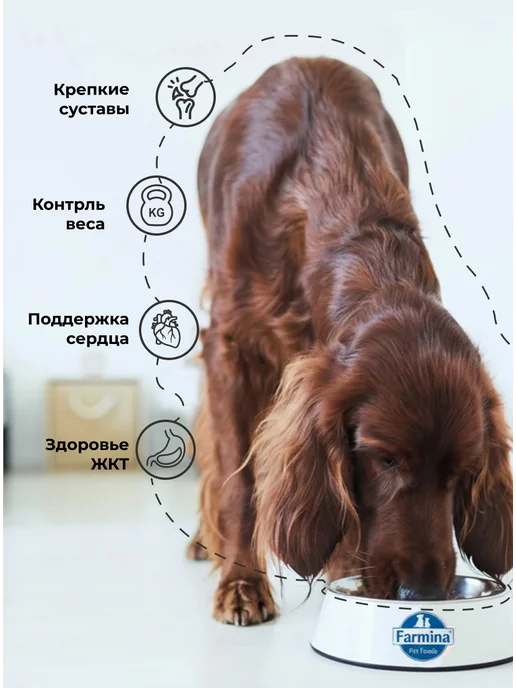 Сухой корм Farmina Без для собак, крупные, средние, курица, ягненок, 12 кг, фото 2