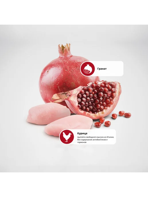 Сухой корм Farmina Прайм Гранатом для собак, взрослые, мелкие, курица, 2,5 кг, фото 2