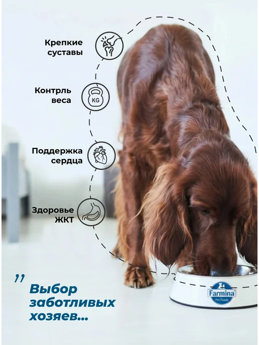 Сухой корм Farmina Оушен Медиум для собак, взрослые, лосось, 2,5 кг, фото 2