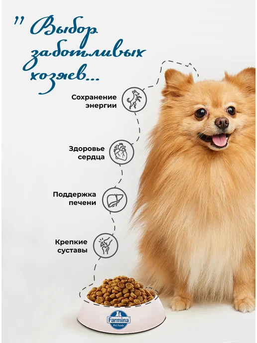 Сухой корм Farmina Без для собак, взрослые, мелкие, курица, ягненок, 5 кг, фото 2