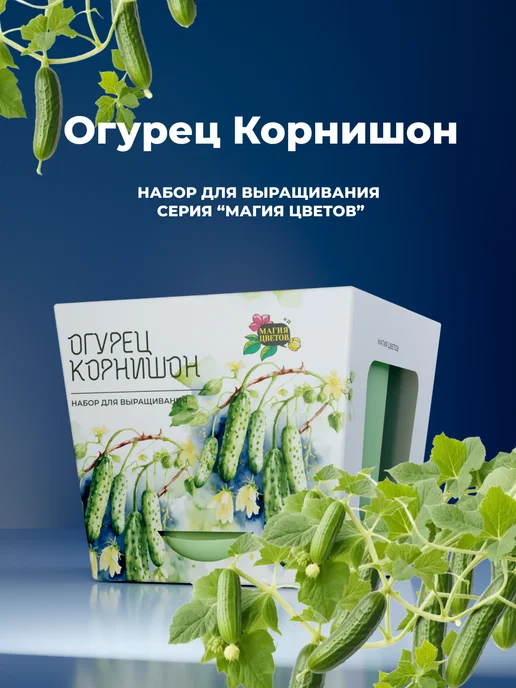 Магия Цветов Огурец корнишон Набор для выращивания растений, вариант, фото 7