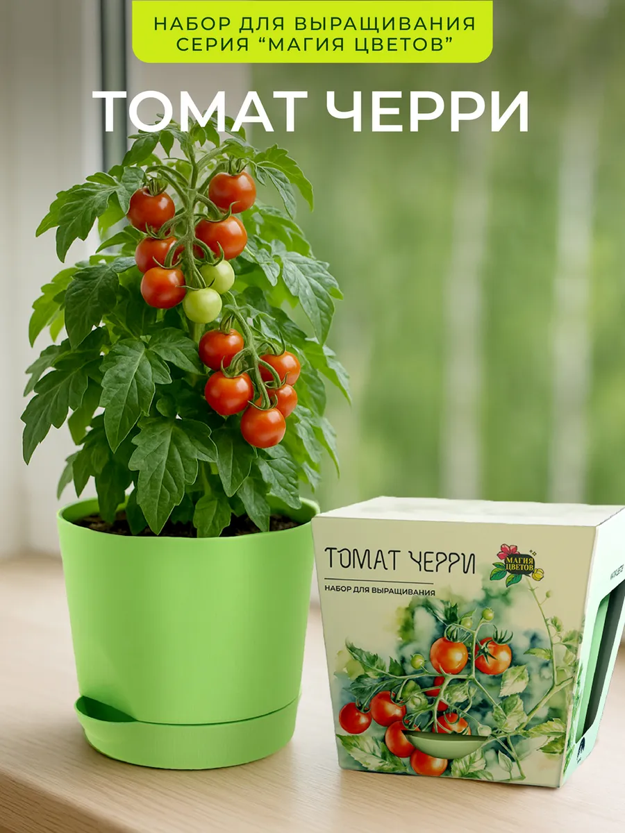Томат черри Набор для выращивания растений