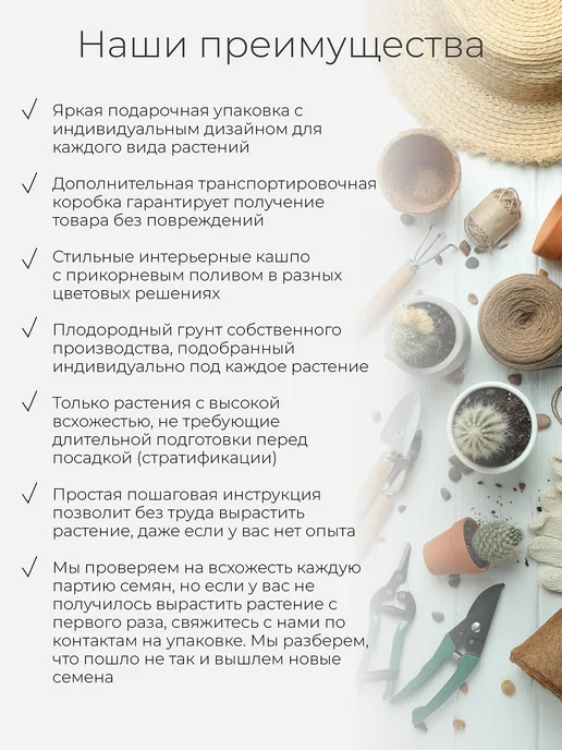 Магия Цветов Томат черри Набор для выращивания растений, вариант, фото 2