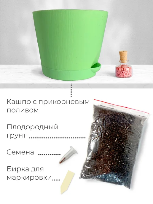 Магия Цветов Томат черри Набор для выращивания растений, вариант, фото 4