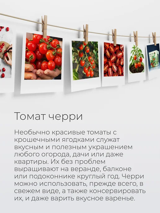 Магия Цветов Томат черри Набор для выращивания растений, вариант, фото 5