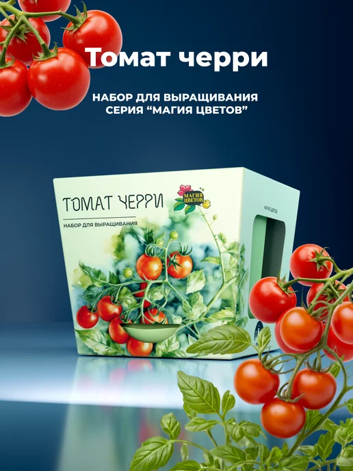 Магия Цветов Томат черри Набор для выращивания растений, вариант, фото 7